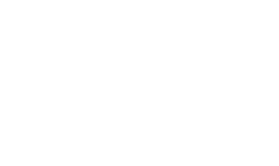 NEW VIEW LOGO